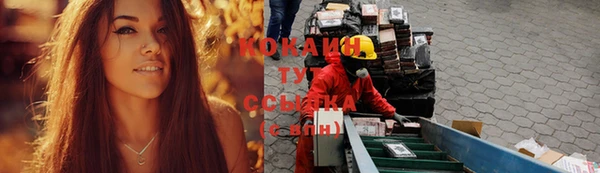 шишки Абинск