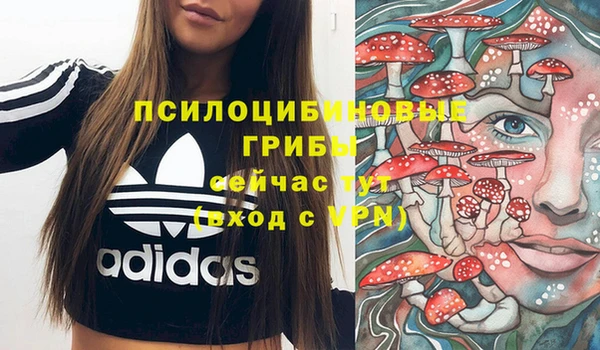 твердый Алзамай
