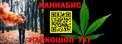сатива Кингисепп