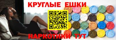 сатива Кингисепп