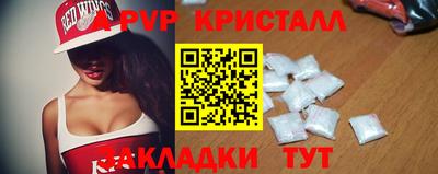 сатива Кингисепп