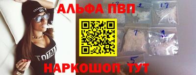 сатива Кингисепп