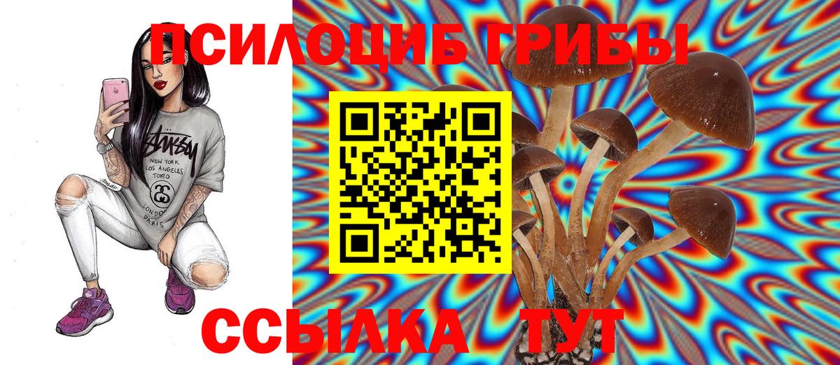 Арсеньев  Галлюциногенные грибы Psilocybine cubensis  Вход с VPN 
